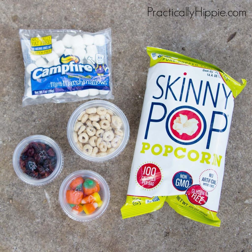 Camping with kids | DIY trail mix 