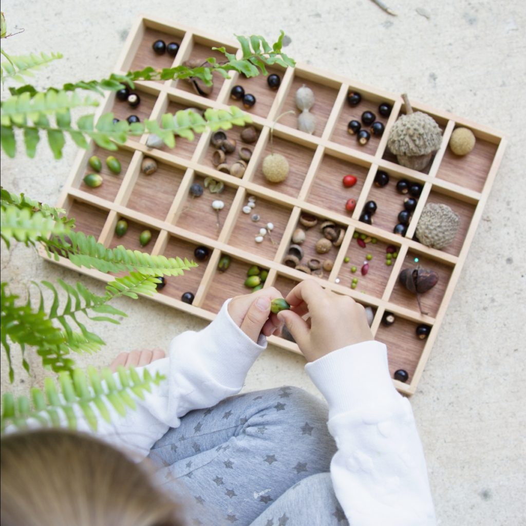 homeschool nature study 