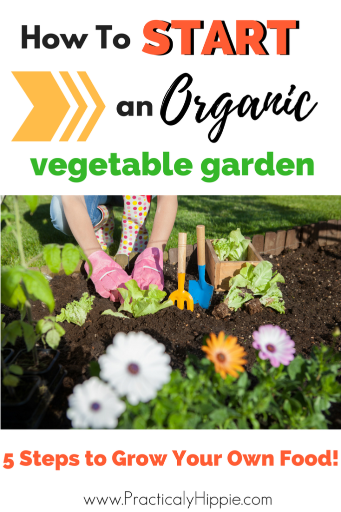 Start an Organic Vegetable Garden - Rooted Childhood