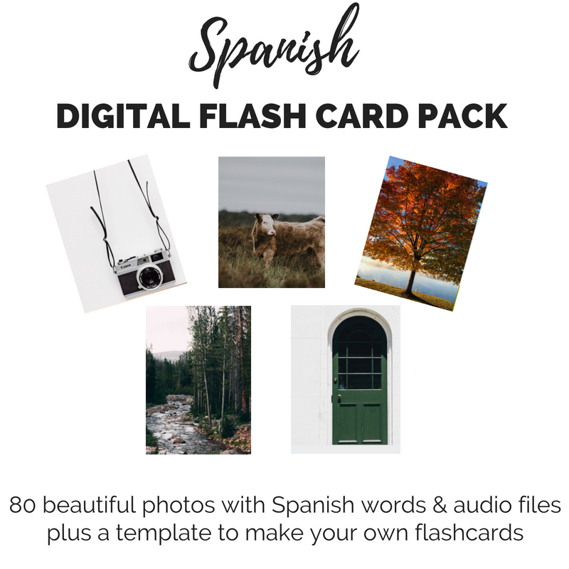 Spanish digital flash card pack 