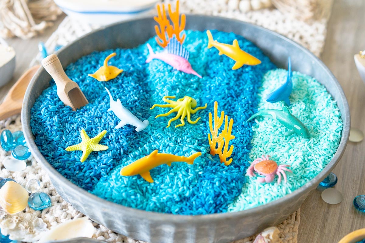 Ocean sensory play